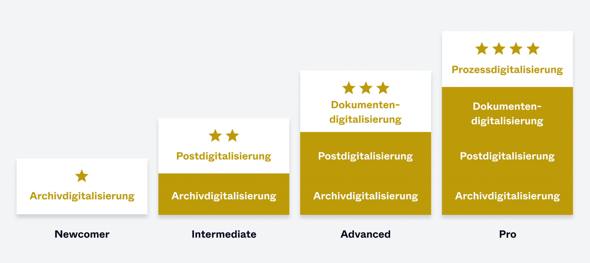 infografik Digitales Fitnesslevel DE